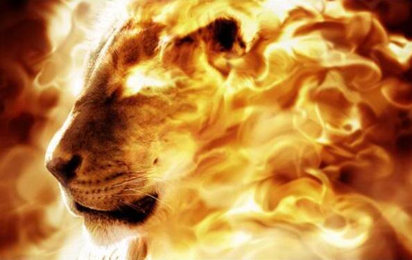fire-lion